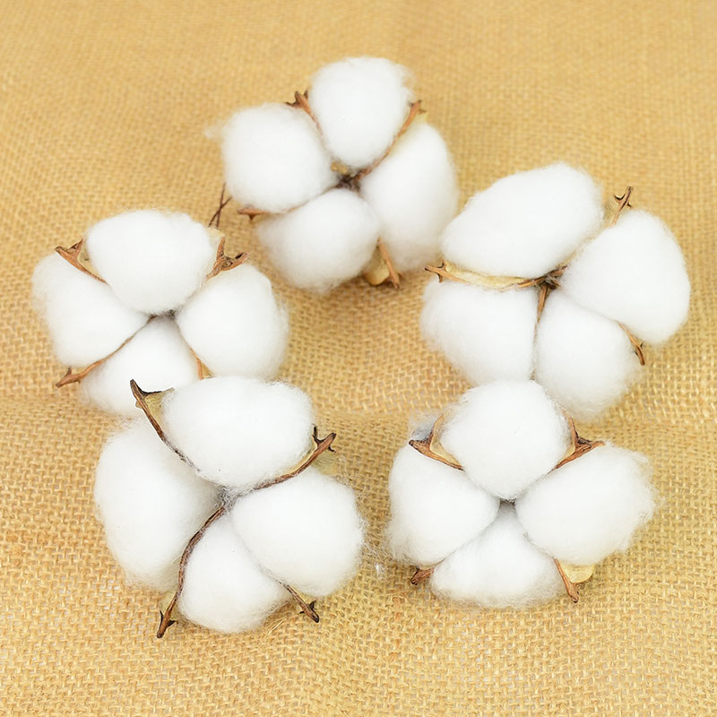 Florist Wreath Supply - 10 Piezas de Flores Artificiales Blancas
