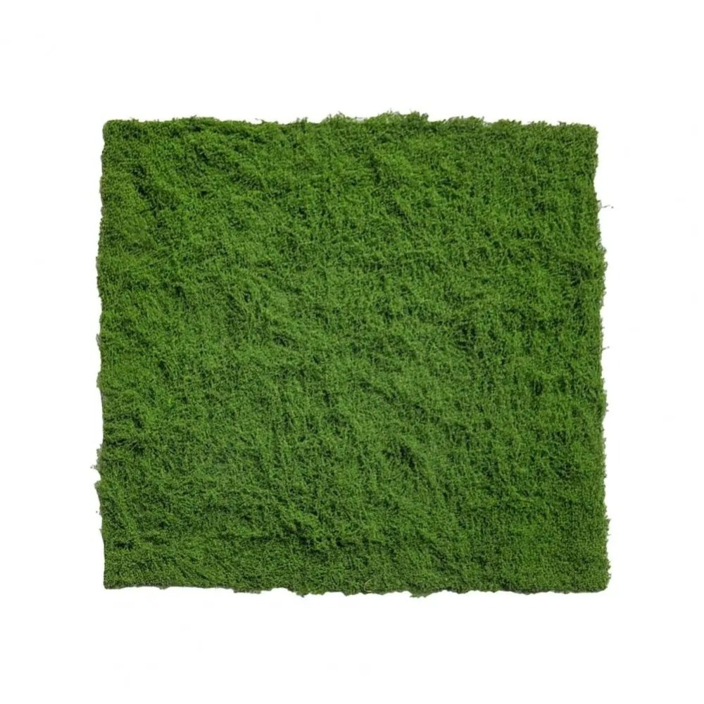 Alfombra de Césped Artificial  - Preserved Moss Sheet reseña y precio