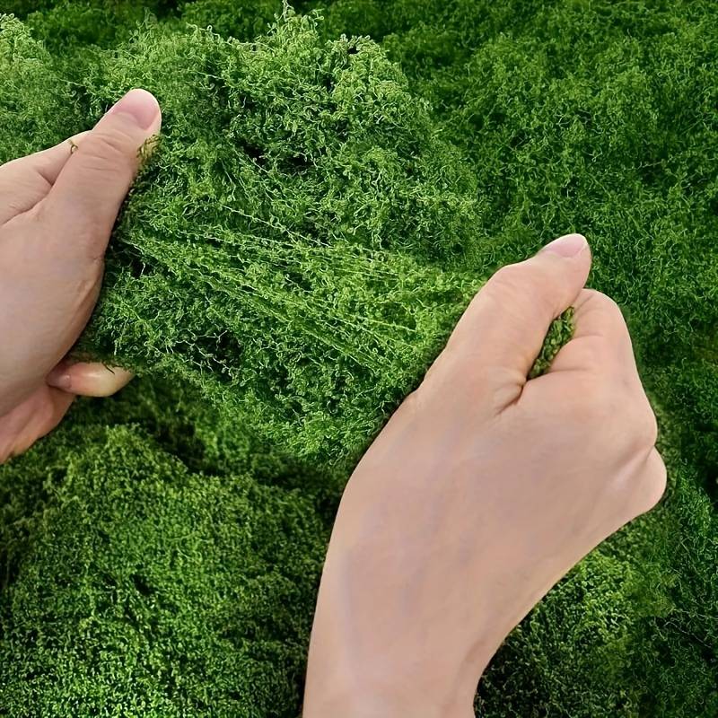 Tapete de Musgo Artificial de  - Preserved Moss Sheet reseña y precio
