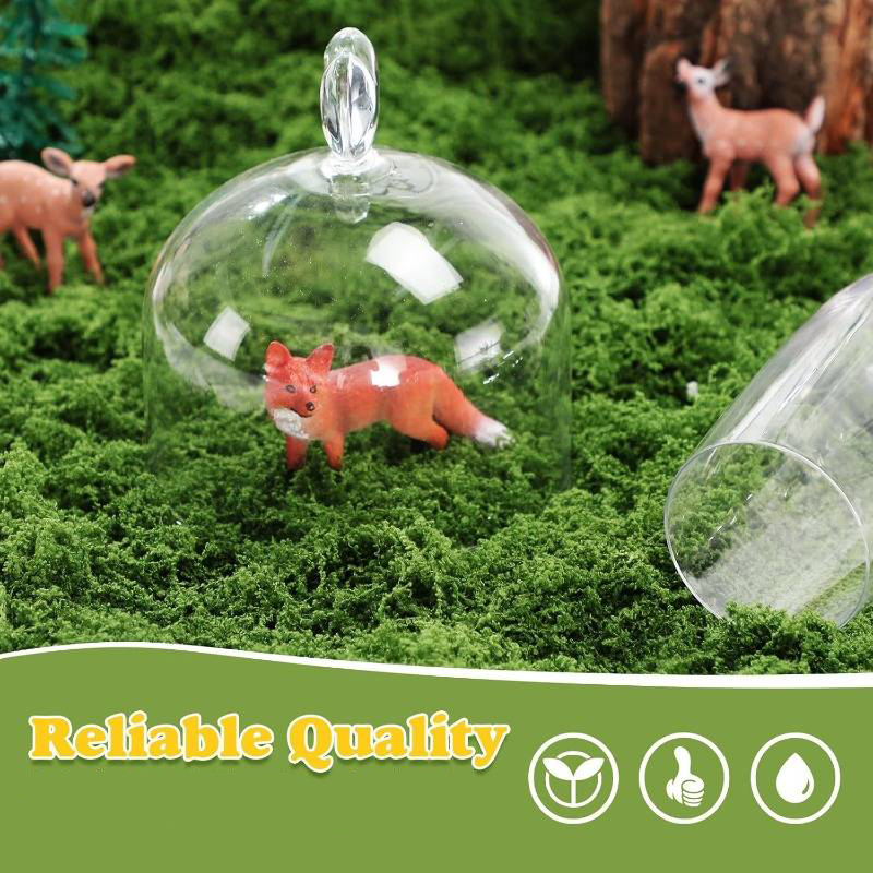 Tapete de Musgo Artificial de  - Preserved Moss Sheet reseña y precio