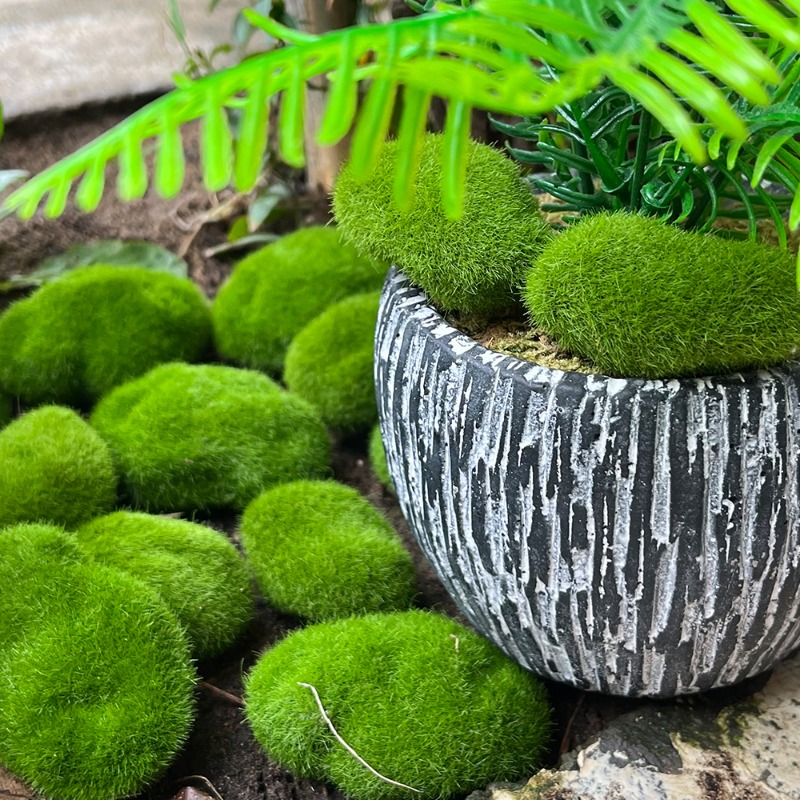 100/5 Piezas de Rocas de Musgo - Preserved Moss Sheet reseña y precio