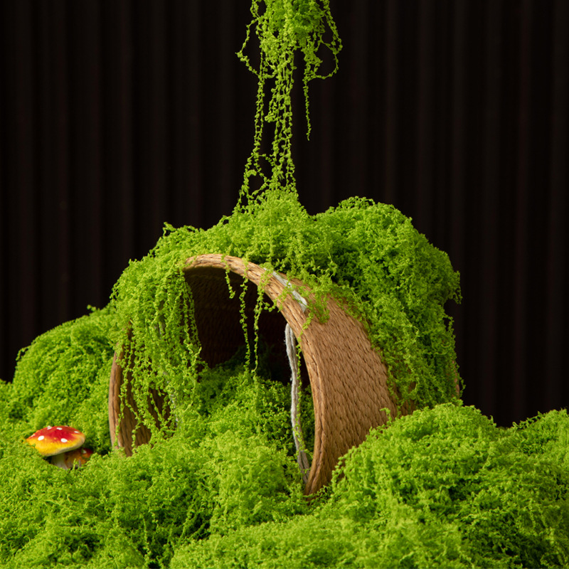 Musgo Eterno de 200g para Manu - Preserved Moss Sheet reseña y precio