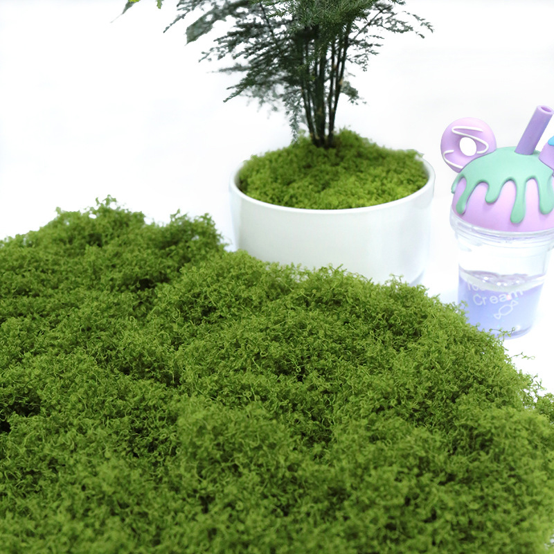 ● Musgo Artificial de 50g para - Preserved Moss Sheet reseña y precio