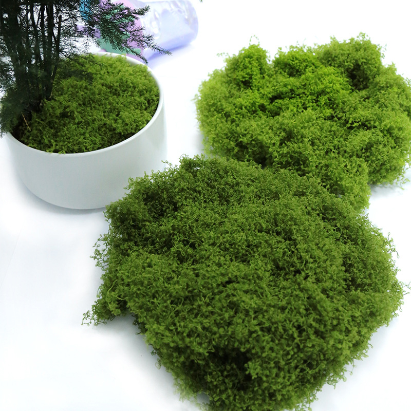 ● Musgo Artificial de 50g para - Preserved Moss Sheet reseña y precio