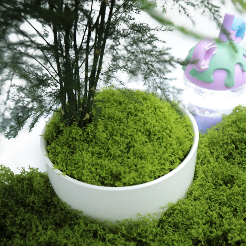 ● Musgo Artificial de 50g para - Preserved Moss Sheet reseña y precio