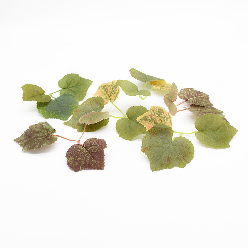 10/20 piezas hojas artificiale - Preserved Moss Sheet reseña y precio