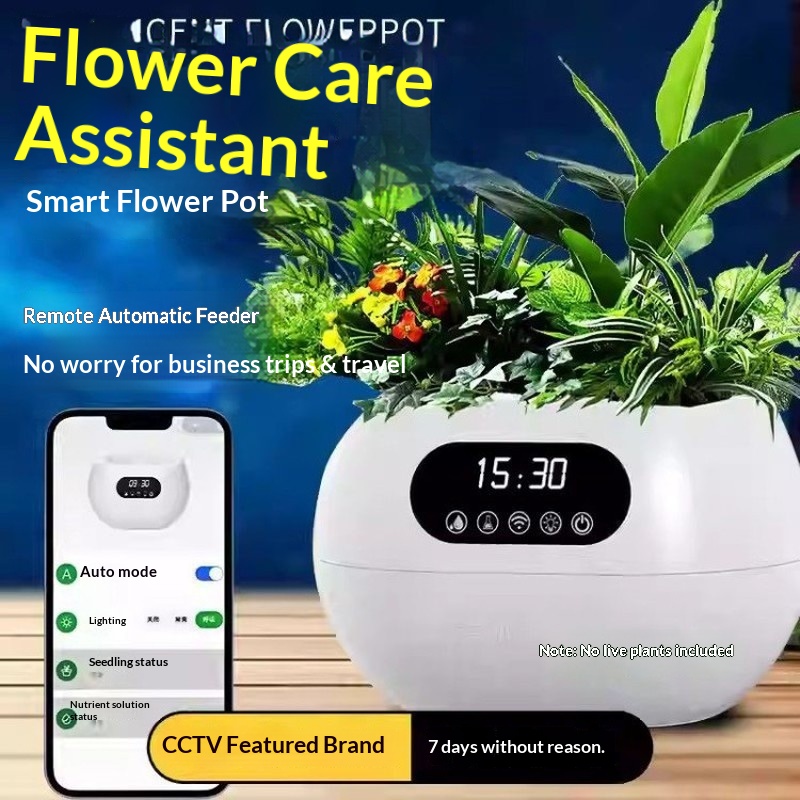 Maceta Inteligente con IA, Rie - Flower Supplies reseña y precio